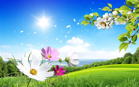 free spring pictures wallpaper|free desktop backgrounds spring scenes.